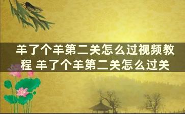 羊了个羊第二关怎么过视频教程 羊了个羊第二关怎么过关